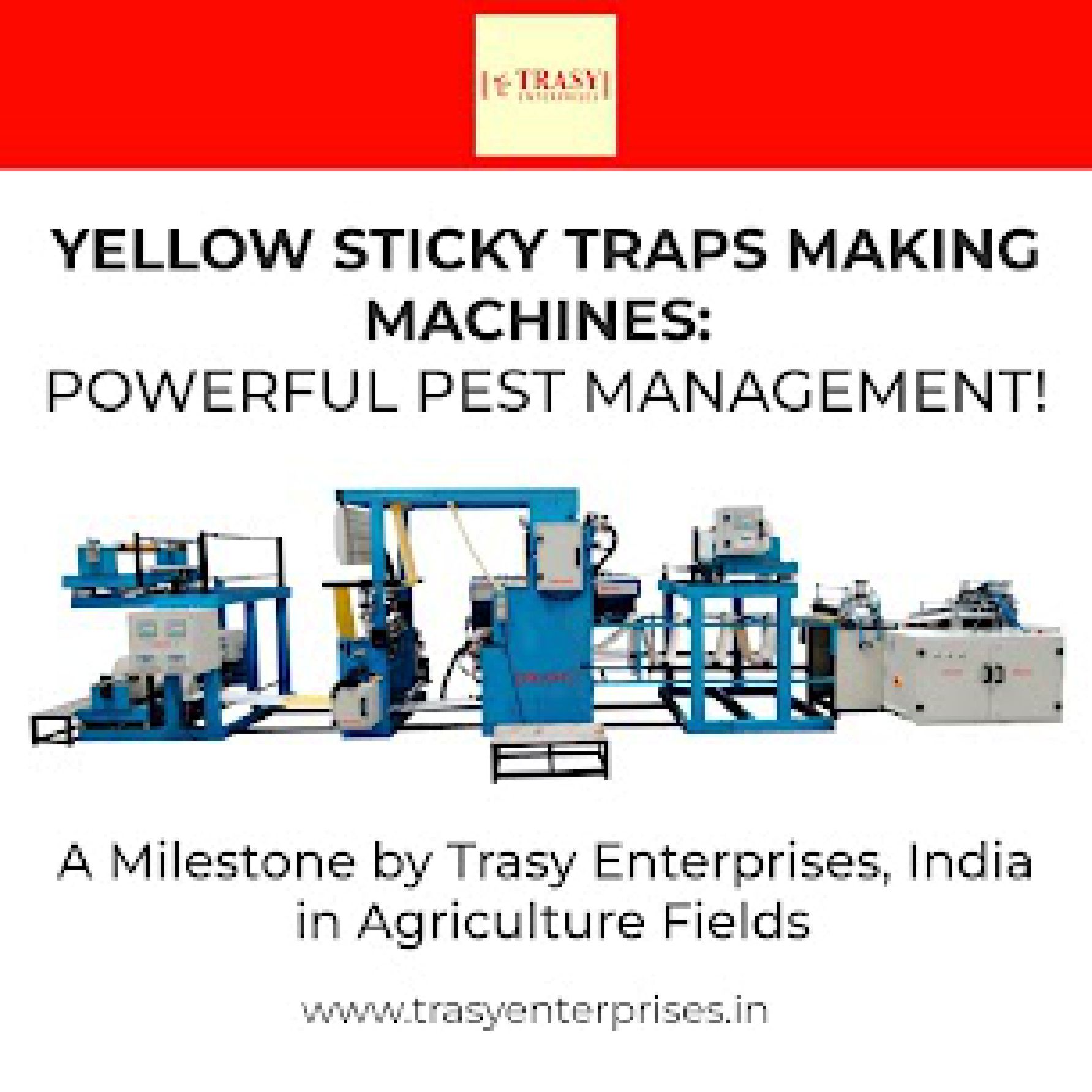 Yellow sticky traps