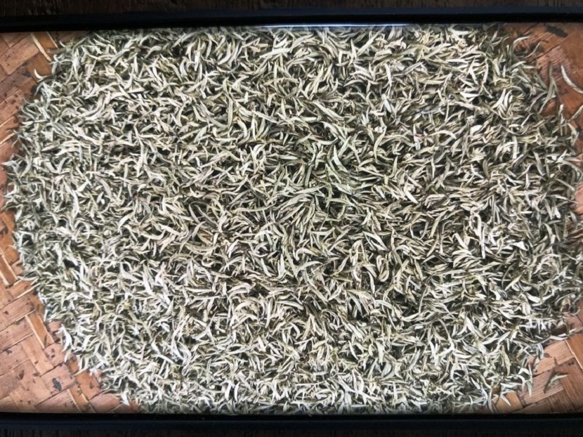 White Tea Exporter in India Supplying Handpicked Organic Leaves