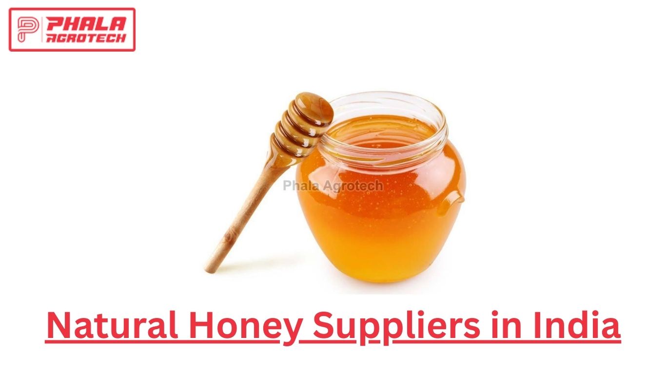 The Growing Demand for Pure and Authentic Honey in India