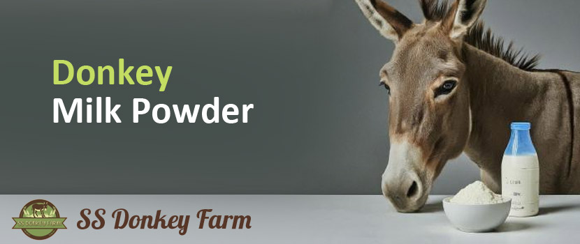 Choosing the Right Donkey Milk Powder Supplier for Consistent Supply