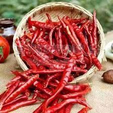 Dried Red Chilli Exporter: A Gateway to Global Spice Trade