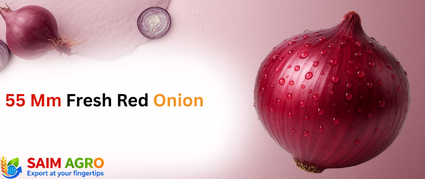 55mm+ Fresh Onions: Nutritional Benefits and Uses