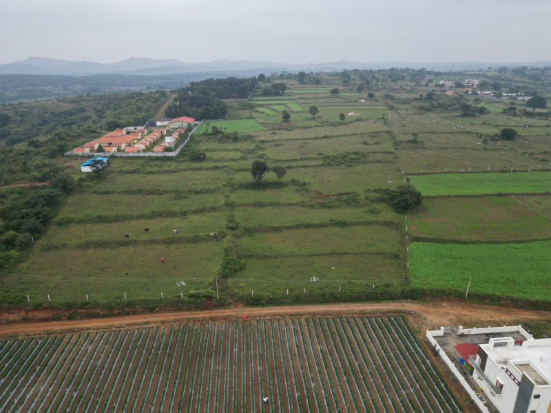 Best Agricultural Land for Sale in Near Hosur for Farming and Investment