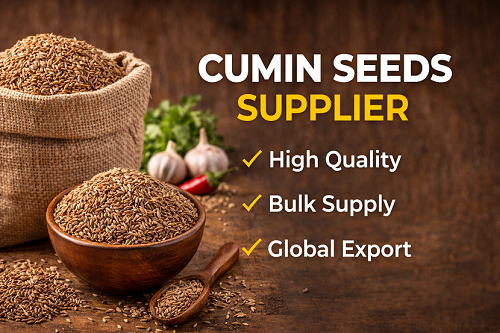 Choosing the Right Cumin Seeds Supplier for Global Needs
