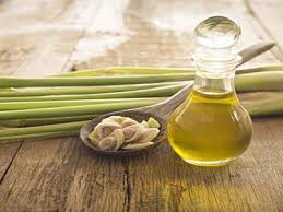 Why Choose Lemongrass Oil Exporters in India for Your Business Needs