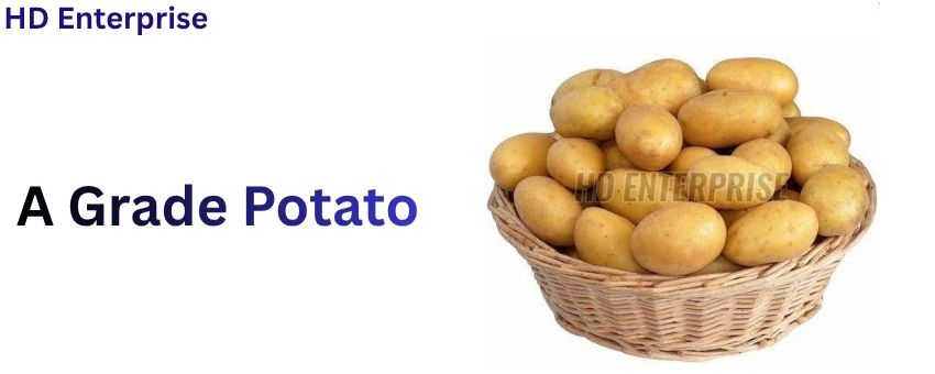 Why Choose an A Grade Potato Supplier for Fresh Quality Potatoes