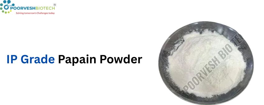 How This Manufacturer is Redefining IP Grade Papain Powder Quality!