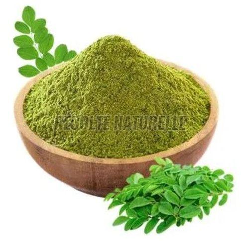 Find the Best Wholesale Dehydrated Moringa Powder Trader for Consistent Quality and Supply