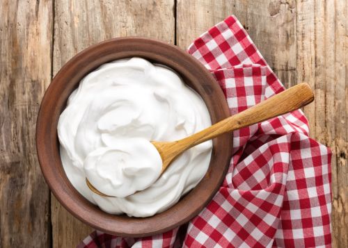 Trusted Indian Curd Suppliers for Export Delivering Fresh and Quality Dairy Products