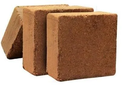 Low EC Coco Peat Supplier: The Ideal Solution for Healthy Plant Growth