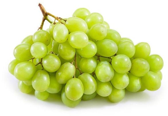 Choosing the Right Fresh Fruit Supplier for Bulk Supply