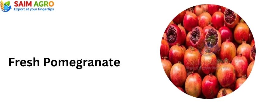 10 Reasons to Choose India’s Leading Pomegranate Exporter