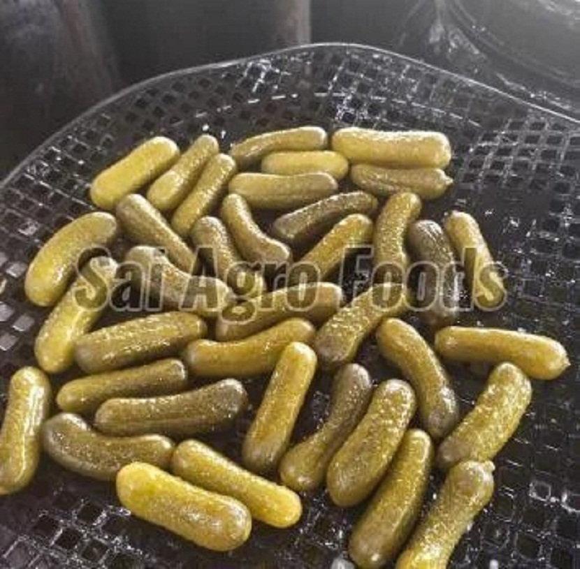 Trusted Pickled Gherkins Supplier in India for Bulk and Export Quality