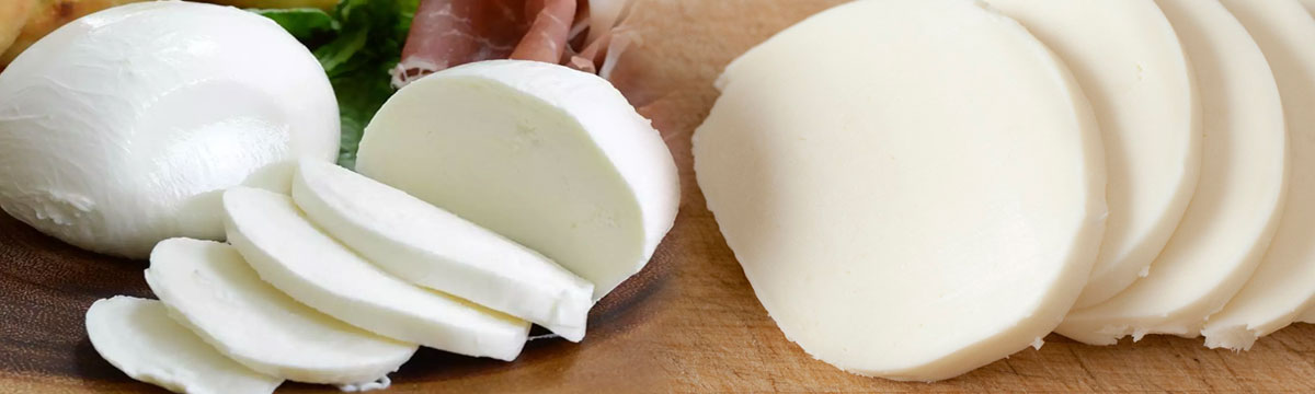 Explore the Best Dairy Products Manufacturer in Gujarat for Your Needs
