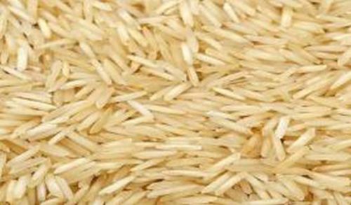 Basmati Rice Exporters in Mumbai: Connecting Quality Rice to Global Markets
