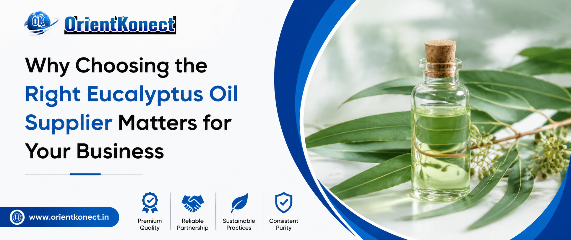Why Choosing the Right Eucalyptus Oil Supplier Matters for Your Business