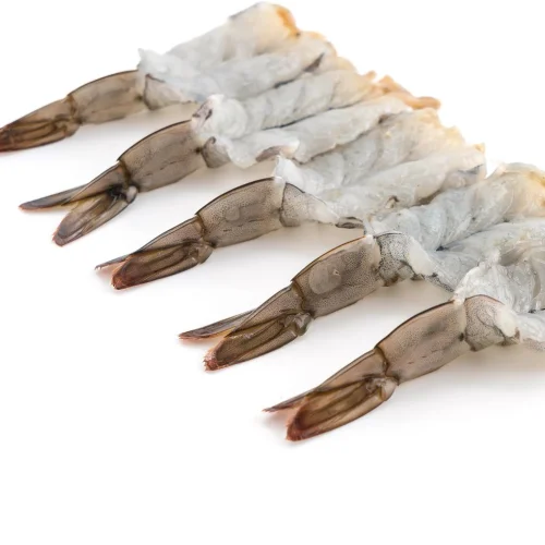 Dry Tiny Shrimps Exporter: Supplying Premium Quality Seafood Globally