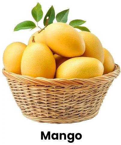 Fresh Kesar Mango Manufacturer Delivering Premium Quality Mangoes Worldwide