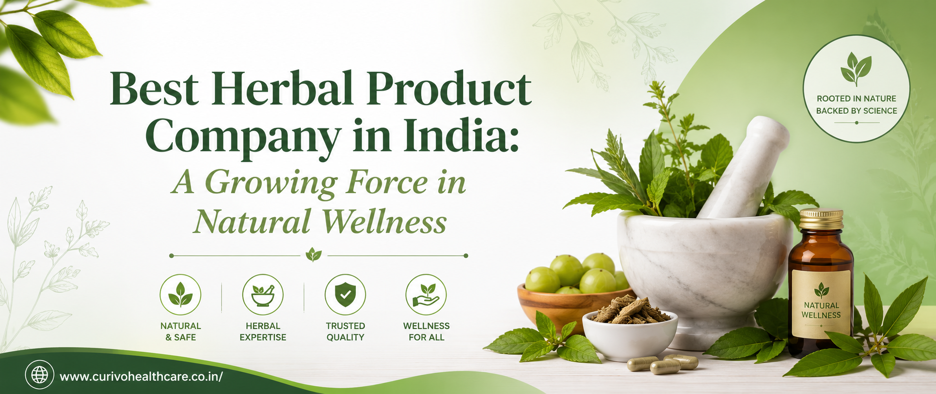 Best Herbal Product Company in India: A Growing Force in Natural Wellness