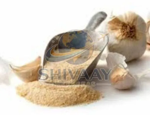 Dehydrated Garlic Powder Trader – Supplying Premium Quality Garlic Ingredients Worldwide