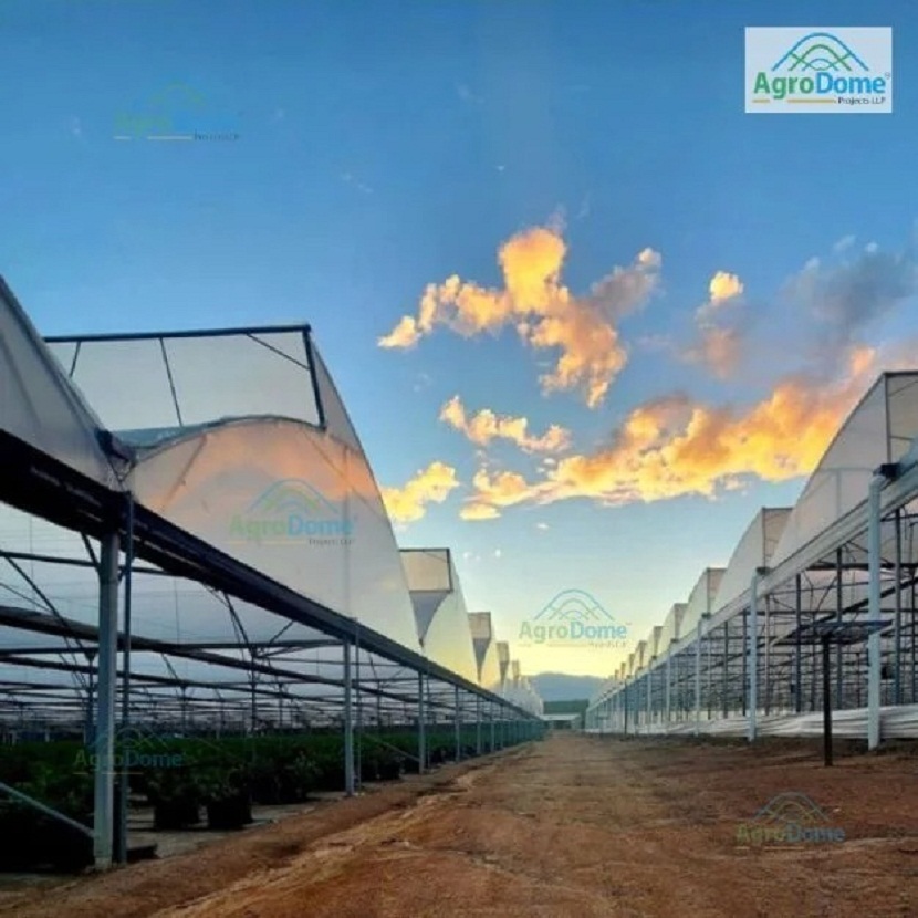 What Is a Naturally Ventilated Poly House and How Does It Work?