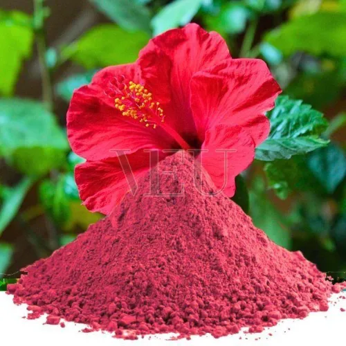 Organic Hibiscus Powder Supplier in Surat: Premium Quality Herbal Powder for Health & Beauty Applications