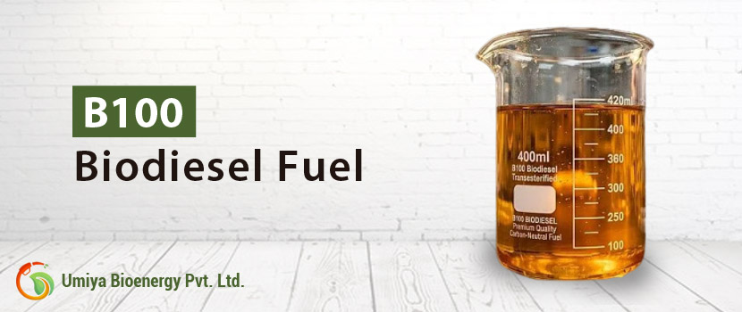 Get Consistent Fuel Supply from a Bulk Biodiesel Supplier in Gujarat