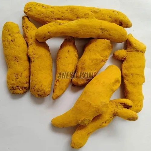 Which Erode Turmeric Finger Suppliers in India Offer Export-Quality Turmeric?