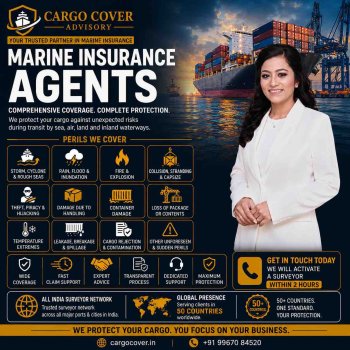 Top Marine Insurance Providers in India