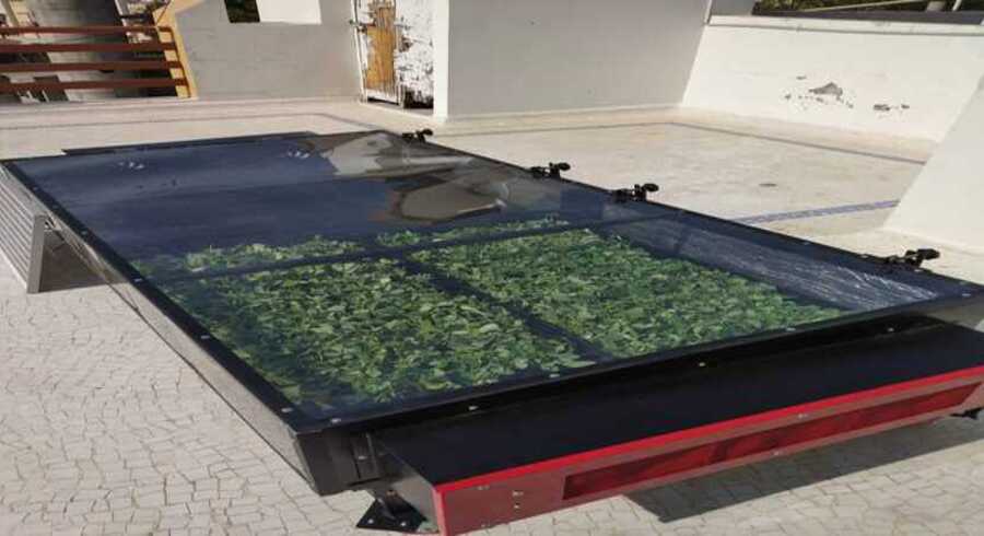 Commercial Solar Drying Solutions in Madhya Pradesh for Farmers & Food Processing Industries (2026)