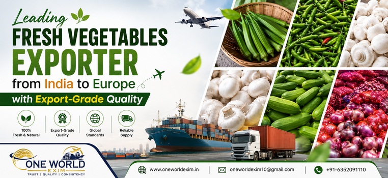 Leading Fresh Vegetables Exporter from India to Europe with Export-Grade Quality