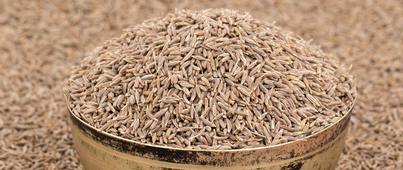 What Makes a Cumin Seeds Exporter in Gujarat the Right Choice for Your Business?