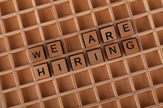 Recruiters in Chandigarh - For Placement Services punjab