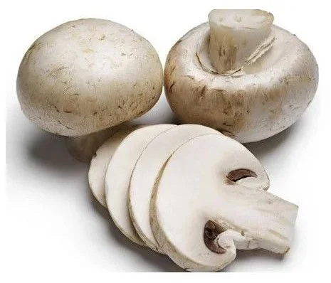 Why Modern Kitchens Choose Organic White Button Mushroom More Often