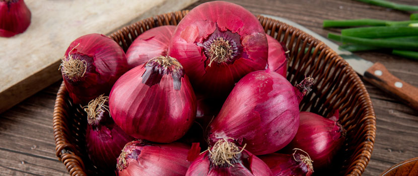 Where Can Businesses Find an A Grade Fresh Red Onion Supplier?