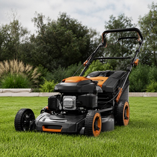 Essential Maintenance Tips to Keep Your Grass Cutting Machine in Top Condition