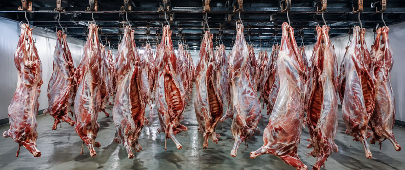 Halal Goat Meat Exporter Supplying Quality Meat for Global Markets