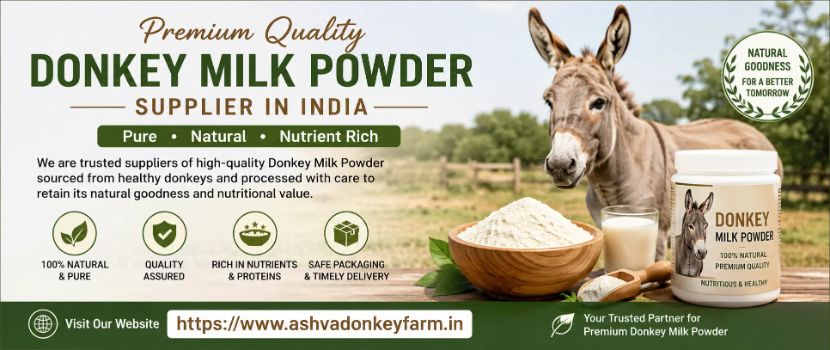 Donkey Milk Powder Supplier in India: A Guide to Choosing the Right Supplier