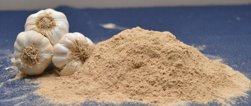 How to Find a Reliable Dehydrated Garlic Powder Supplier in India?