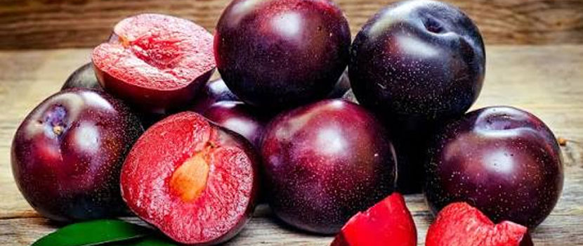 A Grade Fresh Plum Exporter in India – Quality Fresh Plums for Bulk Buyers
