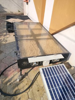 Solar Dryer in Tripura for Queen Pineapple, Jackfruit, Ginger & Chilli Processing