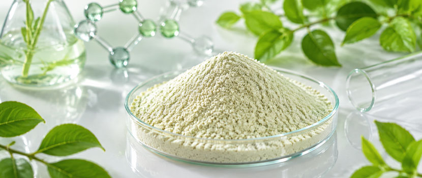 Natural Enzymes Manufacturer: Delivering Innovative Enzyme Solutions for Multiple Industries