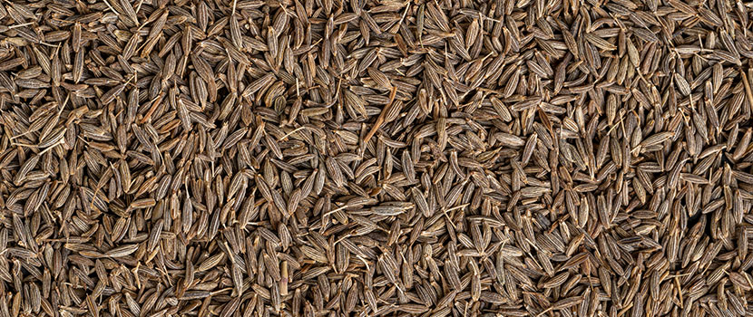 Grade 4 Jeera Manufacturer: Delivering Quality Cumin Seeds for Spice Industries