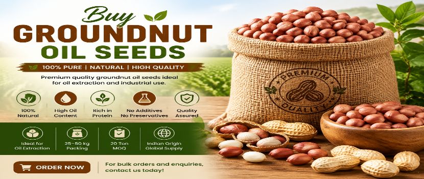 Buy Groundnut Oil Seeds for Oil Extraction and Bulk Supply