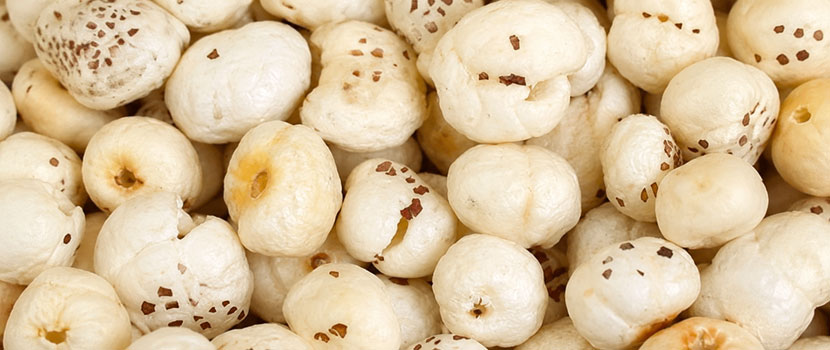Find Raw Phool Makhana Exporter for Wholesale and Food Processing Requirements