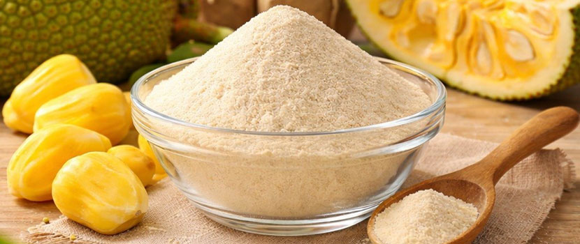 Dried Raw Jackfruit Powder Exporter for Natural Food Ingredient Supply