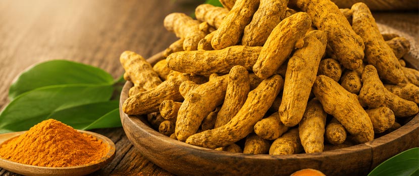 How to Choose a Quality Turmeric Finger Supplier for Your Business?