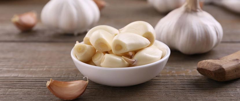 How to Find a Trusted Fresh Garlic Supplier India for Quality Products?
