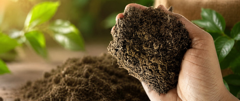 Dry Cow Dung Exporters for Natural Manure and Farming Needs