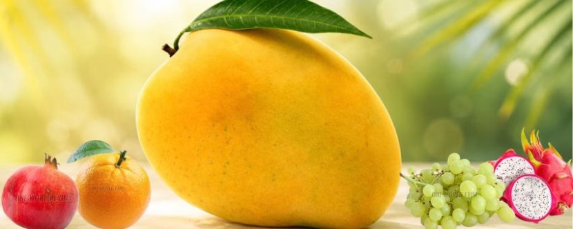 Indian Fresh Fruits Supply for Buyers Across Canada and Global Markets